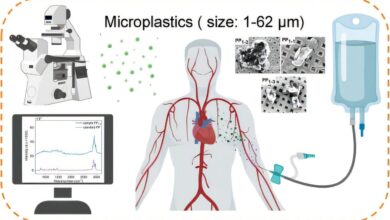 Medical infusion bags can release microplastics, study shows