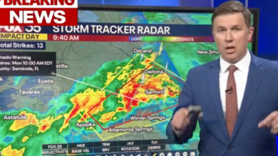 Meteorologist Has Intense Real-Time Reaction As Tornado Strikes Studio Live On Air