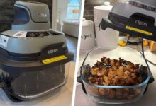 Ninja Crispi Review: Powerful, Portable Air Fryer With a Clear Twist