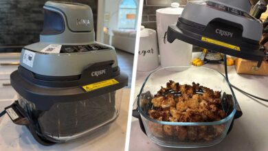 Ninja Crispi Review: Powerful, Portable Air Fryer With a Clear Twist