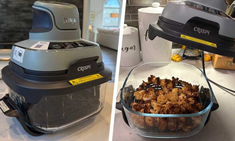 Ninja Crispi Review: Powerful, Portable Air Fryer With a Clear Twist