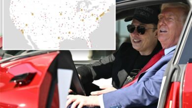 Tesla doxing website shows owners’ personal details, has Molotov cocktail as cursor