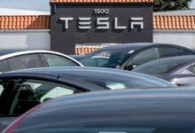 Tesla’s Retail Fans Buy the Stock at a Pace Never Seen Before