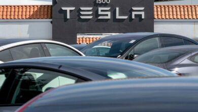 Tesla’s Retail Fans Buy the Stock at a Pace Never Seen Before