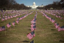 Trump and DOGE propel VA mental health system into turmoil