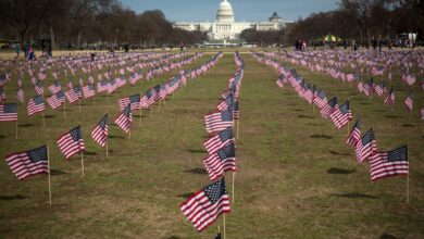 Trump and DOGE propel VA mental health system into turmoil