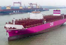 US not prepared to win economic war against China-built containerships