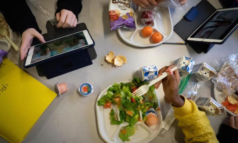 USDA ends program that helped schools serve food from local farmers