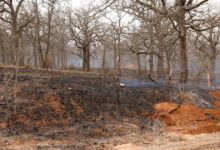 Severe weather storms move through U.S. with tornadoes, wildfires; at least 3 dead in Texas