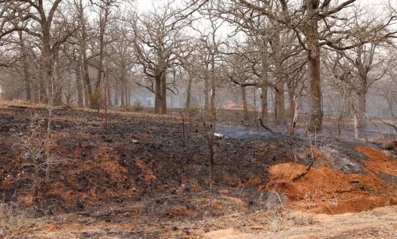 Severe weather storms move through U.S. with tornadoes, wildfires; at least 3 dead in Texas