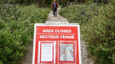 Searchers recover 2nd body near Canada’s Banff National Park hiking trail Searchers recover 2nd body near Canada’s Banff National Park hiking trail