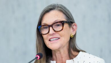 Cathie Wood flags market correction risk but rejects AI bubble fears Cathie Wood flags market correction risk but rejects AI bubble fears
