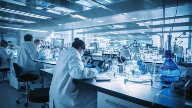 Needham Lifts PT on Neumora Therapeutics (NMRA) to From , Keeps a Buy Rating Needham Lifts PT on Neumora Therapeutics (NMRA) to From , Keeps a Buy Rating