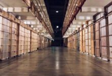 Felonies And Violent Crimes-Increasing Part Of Parole And Probation Caseloads Felonies And Violent Crimes-Increasing Part Of Parole And Probation Caseloads