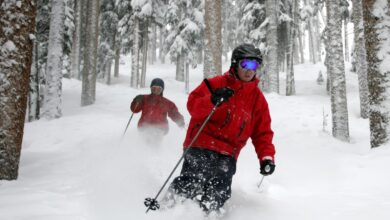 Telluride Ski Resort in Colorado to close Saturday due to labor dispute Telluride Ski Resort in Colorado to close Saturday due to labor dispute