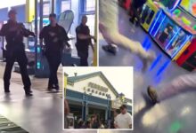 18-year-old suspect arrested in Santa Monica Pier shooting 18-year-old suspect arrested in Santa Monica Pier shooting