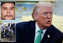 Here’s how many illegal migrant gangbangers DHS arrested this year under Trump Here’s how many illegal migrant gangbangers DHS arrested this year under Trump