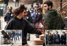 Mamdani refuses to condemn alleged ISIS-loving bomb tossers Mamdani refuses to condemn alleged ISIS-loving bomb tossers