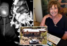 Nancy Guthrie abductor likely had as many as four accomplices, retired Pima county detective says Nancy Guthrie abductor likely had as many as four accomplices, retired Pima county detective says