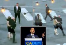 San Francisco mayor under fire for response to attack on bodyguard San Francisco mayor under fire for response to attack on bodyguard