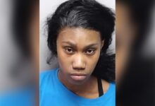 Texas woman allegedly plowed through crime scene, ran over already-dead victim Texas woman allegedly plowed through crime scene, ran over already-dead victim