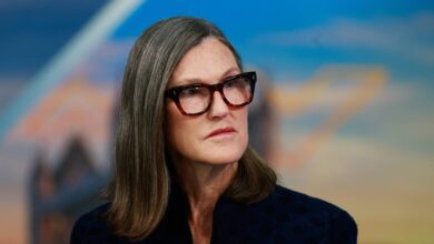 Cathie Wood buys million of beaten-down AI stock Cathie Wood buys million of beaten-down AI stock