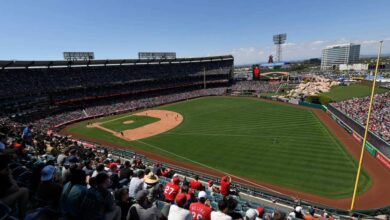 Dog Taps Person’s Shoulder at Baseball Game to Ask for Food Dog Taps Person’s Shoulder at Baseball Game to Ask for Food