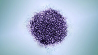 Eliminating hepatitis B shots at birth will have dire consequences, studies project Eliminating hepatitis B shots at birth will have dire consequences, studies project