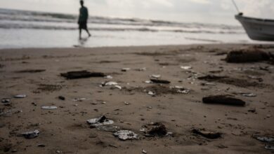 Environmental groups accuse Mexico of lying about origins of oil spill in the Gulf Environmental groups accuse Mexico of lying about origins of oil spill in the Gulf
