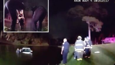 Florida police rescue elderly couple after car slides into pond following heavy downpours Florida police rescue elderly couple after car slides into pond following heavy downpours
