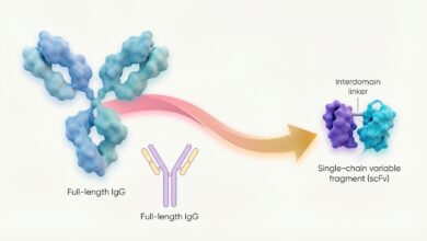 New Antibody Drugs Target Disease From Within New Antibody Drugs Target Disease From Within