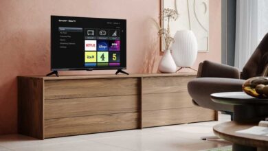 Roku Adds Cloud DVR Feature for Peacock Premium Plus Users Roku Adds Cloud DVR Feature for Peacock Premium Plus Users