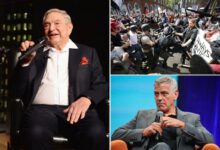 Southern Poverty Law Center donors include George Soros, JPMorgan, George Clooney — as nonprofit ‘funneled’ millions to hate groups Southern Poverty Law Center donors include George Soros, JPMorgan, George Clooney — as nonprofit ‘funneled’ millions to hate groups