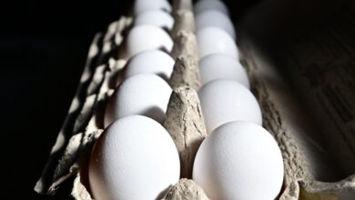 Why Experts Say Viral Frozen Egg TikTok Trend Is Dangerous Why Experts Say Viral Frozen Egg TikTok Trend Is Dangerous