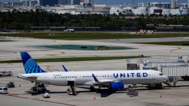 United Airlines CEO says he approached American Airlines to discuss possible merger United Airlines CEO says he approached American Airlines to discuss possible merger