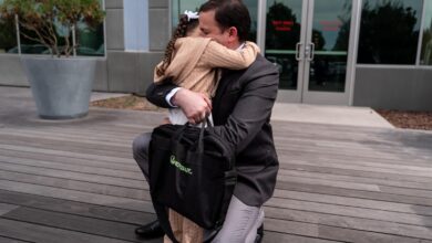 ICE arrests drop nearly 12% after Minneapolis killings, immigration shake-up ICE arrests drop nearly 12% after Minneapolis killings, immigration shake-up