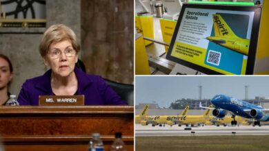 Elizabeth Warren blasted for cheering blocking of merger that might have saved Spirit Airlines Elizabeth Warren blasted for cheering blocking of merger that might have saved Spirit Airlines
