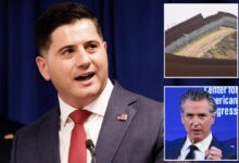 Feds push back on sanctuary policies to keep dangerous illegal immigrants in custody Feds push back on sanctuary policies to keep dangerous illegal immigrants in custody