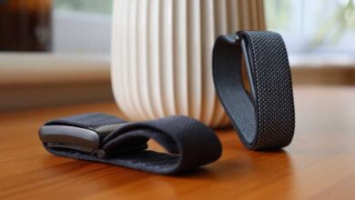 Fitbit Air vs Whoop Strap Comparison: Price, Features and AI Fitbit Air vs Whoop Strap Comparison: Price, Features and AI
