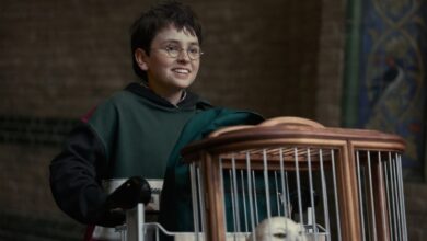 ‘Harry Potter’ Agent Signals Support for Paramount-Warner Bros Merger ‘Harry Potter’ Agent Signals Support for Paramount-Warner Bros Merger