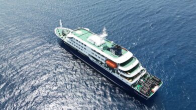 How hantavirus may have spread aboard a cruise ship, according to health experts How hantavirus may have spread aboard a cruise ship, according to health experts