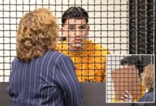 Illegal migrant freed by Biden and accused of killing innocent dad cowers in court Illegal migrant freed by Biden and accused of killing innocent dad cowers in court