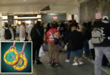 Mall chaos as Westfield Topanga is forced to close over viral watch collab Mall chaos as Westfield Topanga is forced to close over viral watch collab