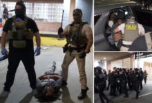 NYC hospital mob was defending illegal migrant with alleged violent, drug past NYC hospital mob was defending illegal migrant with alleged violent, drug past