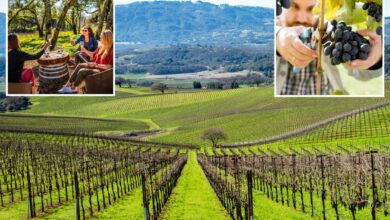 New figures reveal Napa Valley rival looming over Wine Country New figures reveal Napa Valley rival looming over Wine Country