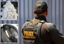 Secret compartments conceal millions of dollars in deadly drugs as Border Patrol arrest dozens Secret compartments conceal millions of dollars in deadly drugs as Border Patrol arrest dozens