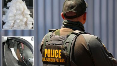 Secret compartments conceal millions of dollars in deadly drugs as Border Patrol arrest dozens Secret compartments conceal millions of dollars in deadly drugs as Border Patrol arrest dozens
