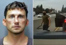 Tesla road-rager sentenced to seven years in prison after attacking mom and teen in Hawaii Tesla road-rager sentenced to seven years in prison after attacking mom and teen in Hawaii