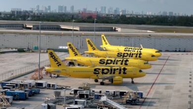 Airlines reduce, cap fares for Spirit travelers looking to rebook canceled flights Airlines reduce, cap fares for Spirit travelers looking to rebook canceled flights