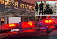 5 stabbed in bloody attack inside Penn Station — suspect in custody 5 stabbed in bloody attack inside Penn Station — suspect in custody